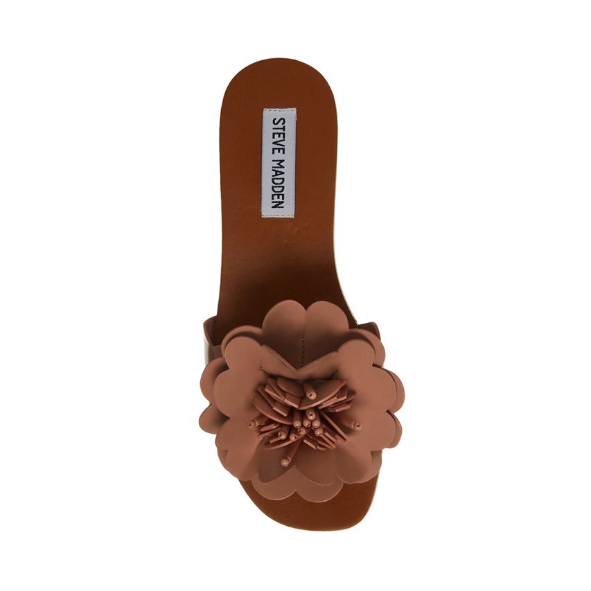 Brown Steve Madden Chelsea Women's Flat Sandals | PH 5728MAK